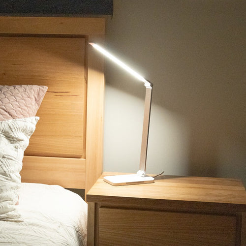 Full Spectrum Lamp
